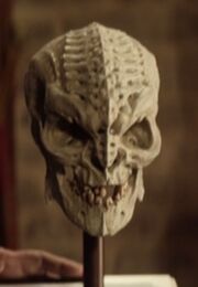 Martok's skull