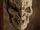 Martok's skull.jpg