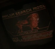 Phylum search mode - Vulpes velox (Lion).jpg (15 KB) Lion Vulpes velox