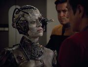 Seven of Nine confronts Chakotay