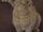 Spot 2370.jpg
