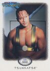 Star Trek Voyager - Tsunkatse Archive Collection Trading Card T2