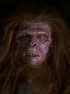 Tom Morga als Martia…