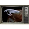 TV, Films, and Podcasts portal icon