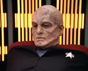 Chakotay bald with tattoo