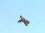 Ein Luftfahrzeug der Kradin (2374)