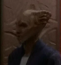 Played by an unknown actor (DS9: "Shattered Mirror")