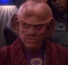 Quark