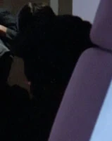 In the quarters Played by an unknown actress (TNG: "The Last Outpost")