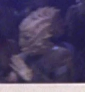 Played by an unknown actor