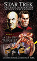 A Sea of Troubles eBook cover