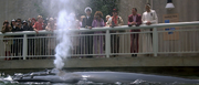 Blowhole