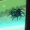 Arachnid in menagerie.jpg (4 KB) Murder-bug
