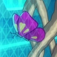 Butterfly in menagerie.jpg (17 KB) Butterflies