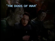 7x24 The Dogs of War title card.jpg (56 KB) "The Dogs of War"