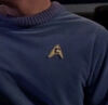 USS Enterprise operations security badge, 2254.jpg