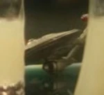 NX class refit model, port ventral quarter.jpg (9 KB) …his refit-NX-01 model…