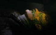 Romulan corpse, 2371.jpg (32 KB) Romulan makeup Star Trek Generations