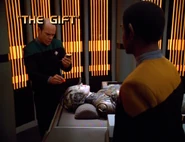 "The Gift"