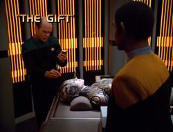 "The Gift"