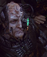 Borg Klingon
