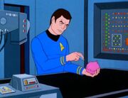 McCoy untersucht einen Tribble