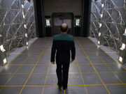 The Doctor leaves the holodeck, Nothing Human