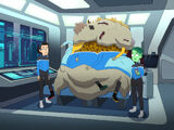 Unnamed hybrids