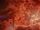 Der Charonspfennig