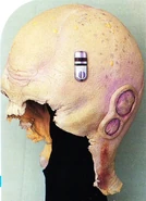 Bynar head cap.jpg (128 KB) Bynar headcap, p. 110