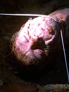 ...und als toter Vori