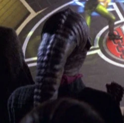 Played by an unknown performer