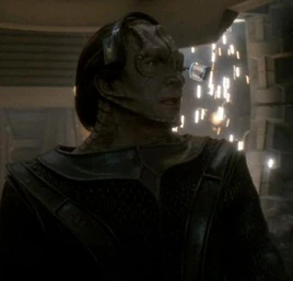 Seskal on the bridge