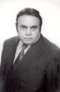 Shellydesai