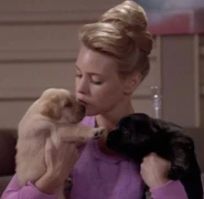 Puppies, 2369.jpg (29 KB) Amanda holding two Labrador puppies