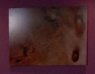 A painting in sickbay / Diana Giddings' quarters (TNG: "11001001", "Too Short A Season", "Symbiosis", "We'll Always Have Paris", "The Outrageous Okona")