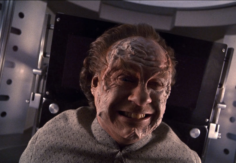 Phlox in imaging chamber.jpg