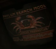 Phylum search mode - Cancer productus.jpg (15 KB) Cancer productus