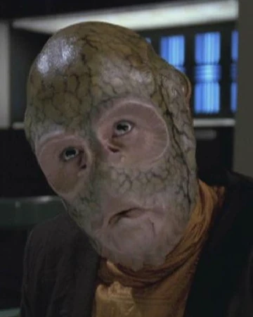 Torat Memory Alpha Fandom Does torah (toraat) prescribes the punishment of stoning (rajm) to deaths? torat memory alpha fandom