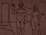 Gender