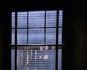 Blinds