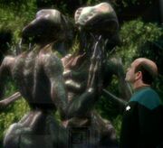 Species 8472 courting
