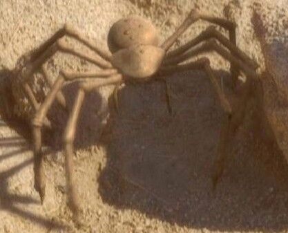 Subspace sinkhole spider.jpg
