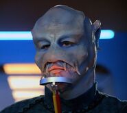 Mordock, a Benzite (TNG: "Coming of Age")