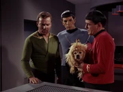 Scott meldet Kirk den defekt des Transporters