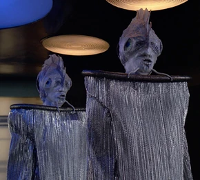 Two male Antedian dignitaries in stasis in 2365