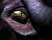 Species 8472 eye