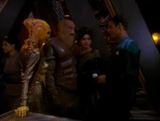 Bashir spielt mit Morn.