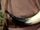 Powder horn