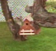 Birdhouse